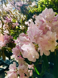 写真 2019-04-20 10 42 40.jpg