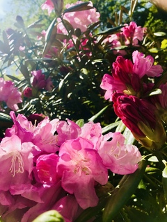 写真 2019-04-20 11 25 51.jpg