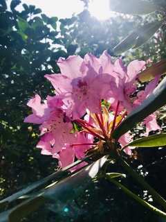 写真 2019-04-20 11 36 48.jpg