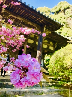 写真 2019-04-20 16 21 52.jpg