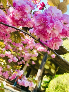 写真 2019-04-20 16 22 06.jpg