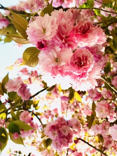写真 2019-04-20 16 22 39.jpg