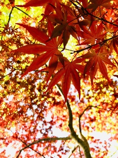 写真 2019-04-20 16 43 23.jpg