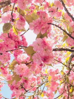 写真 2019-04-20 16 49 14.jpg